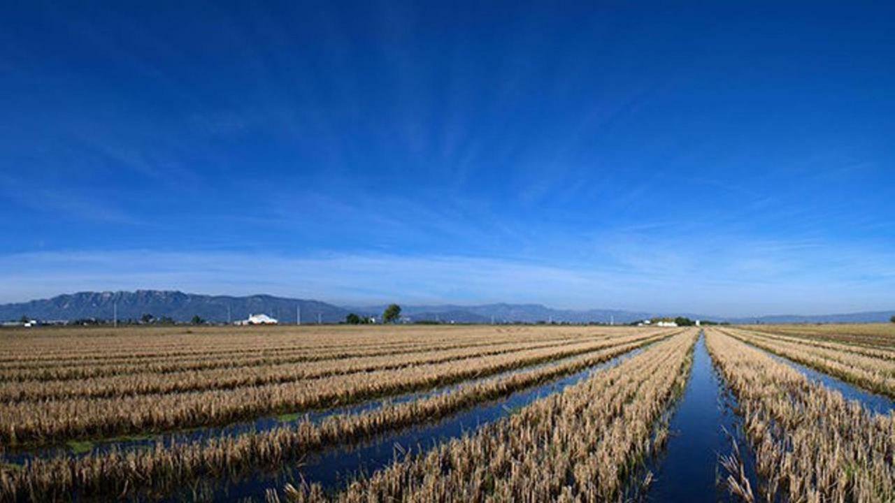 Mi Apartamento En El Delta Del Ebro+ Далтебра Екстер'єр фото