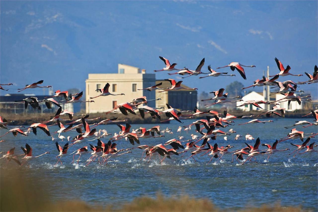 Mi Apartamento En El Delta Del Ebro+ Далтебра Екстер'єр фото
