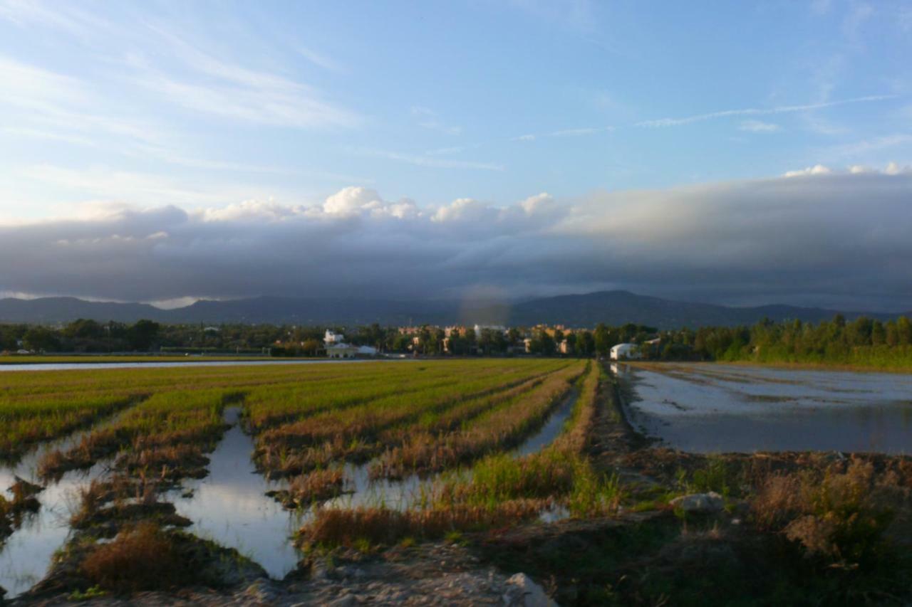 Mi Apartamento En El Delta Del Ebro+ Далтебра Екстер'єр фото
